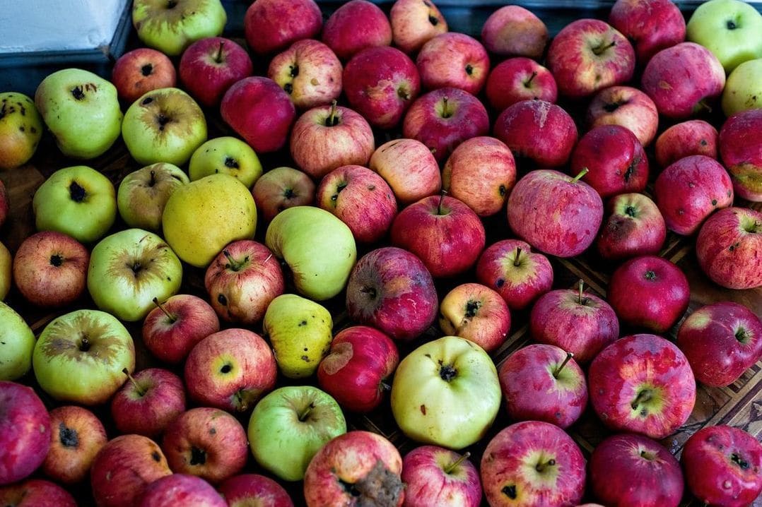 Willow Vale Orchards 4